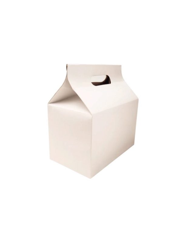 Box lunch 22.5 x 12.5 x 14 cm