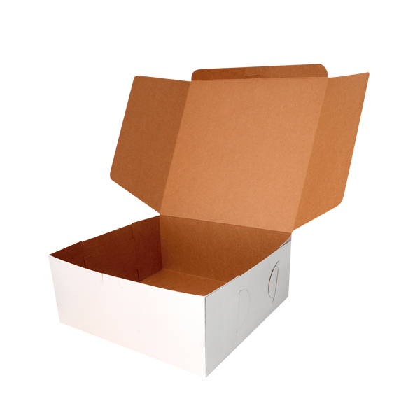 100 Cajas Caple 25 x 25 x 10 cm