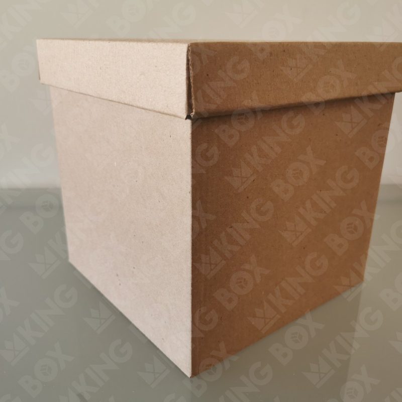 Caja cubo grande con tapa